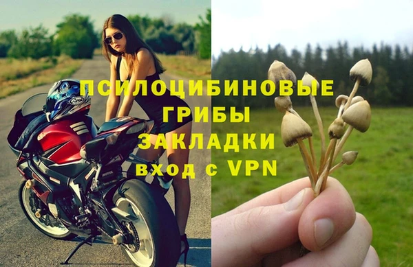 эйфоретик Михайловск