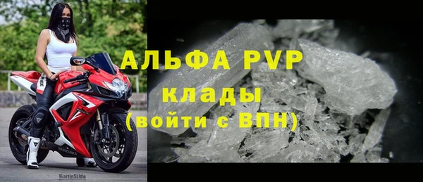 индика Алапаевск